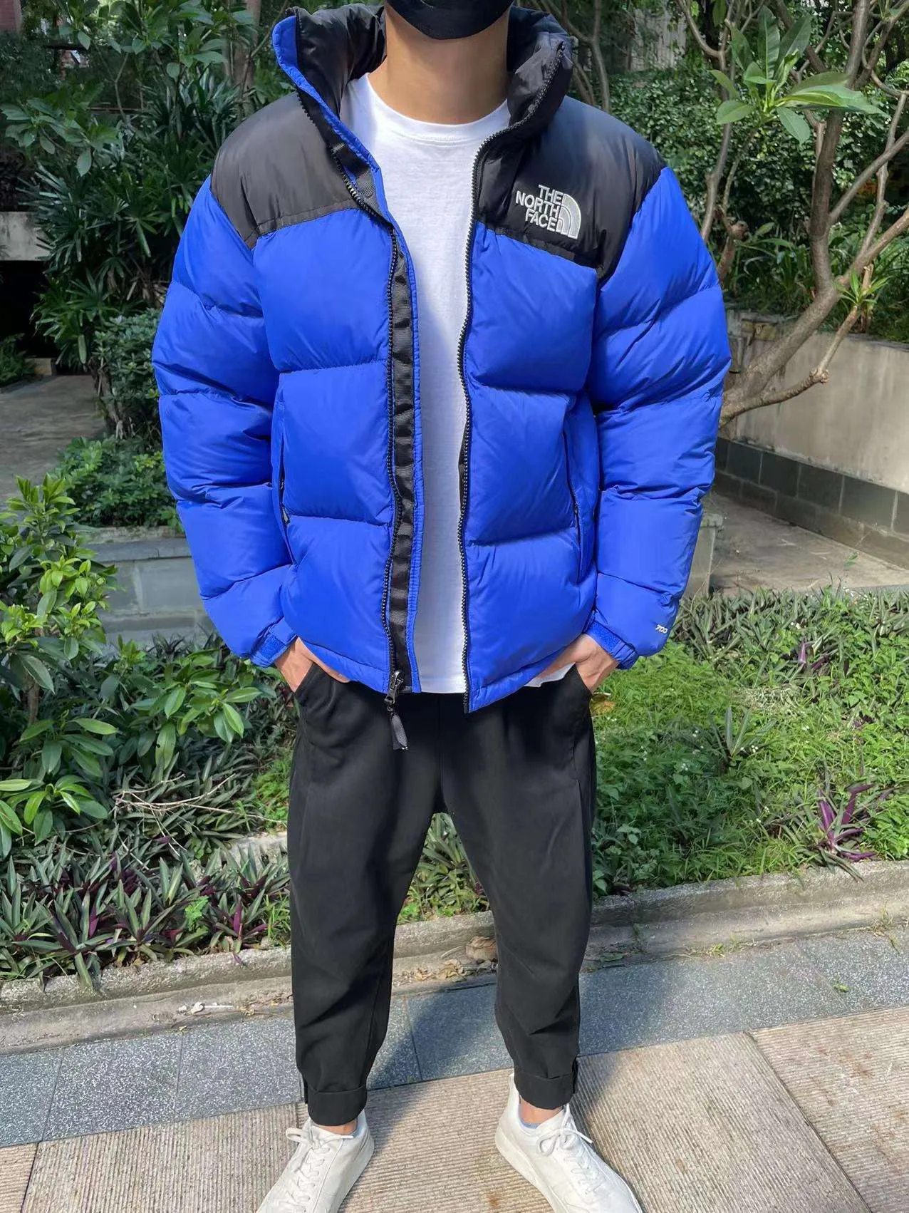 Cazadora TNF Azul Oscuro